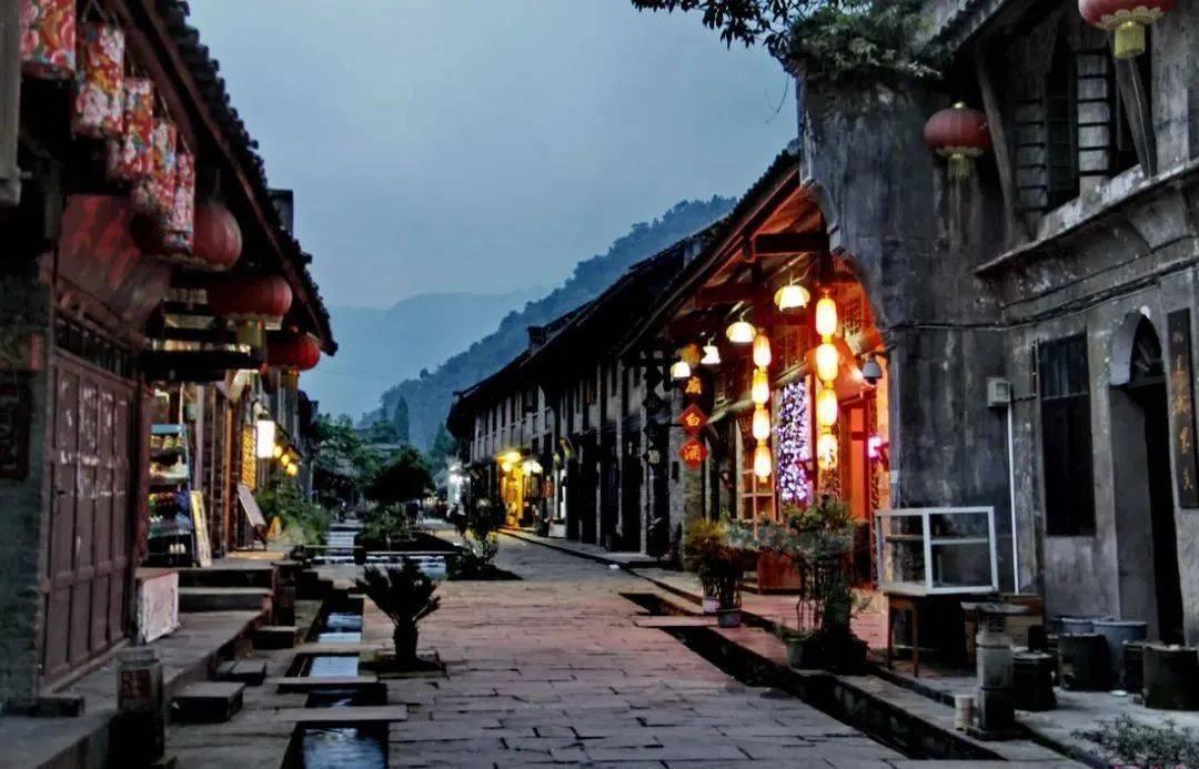 呆萌动物园