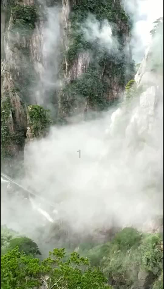 时尚小鸡救援