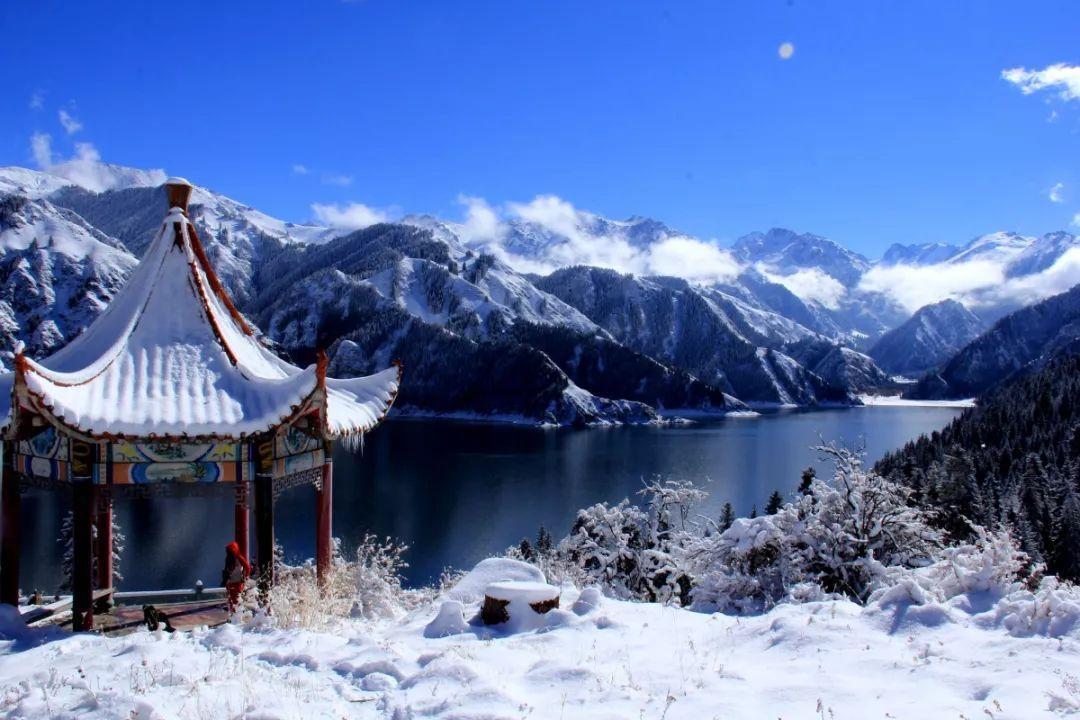 “尔滨”是如何炼成的|只要游客有愿望,必须全部安排上